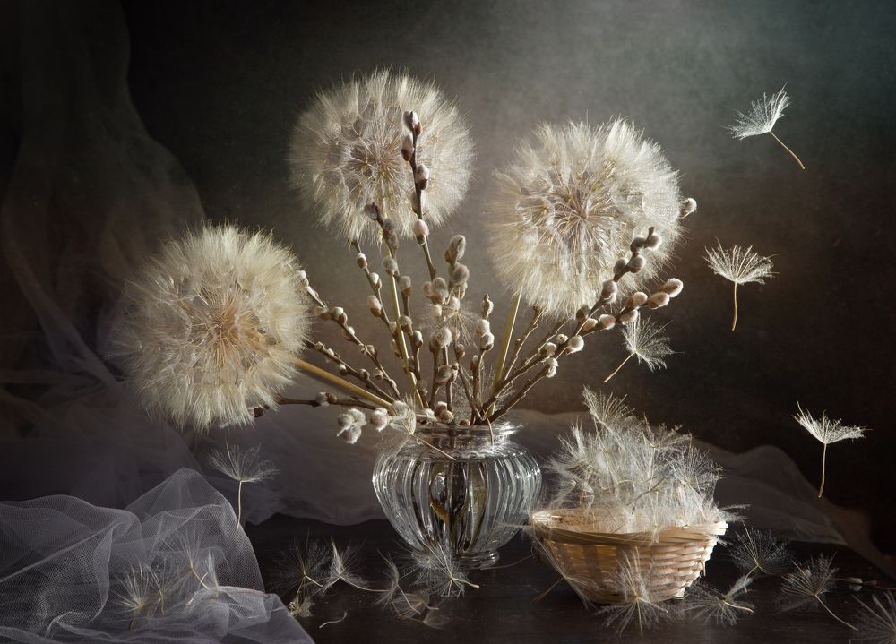 Photograph by Ирина Толокновская