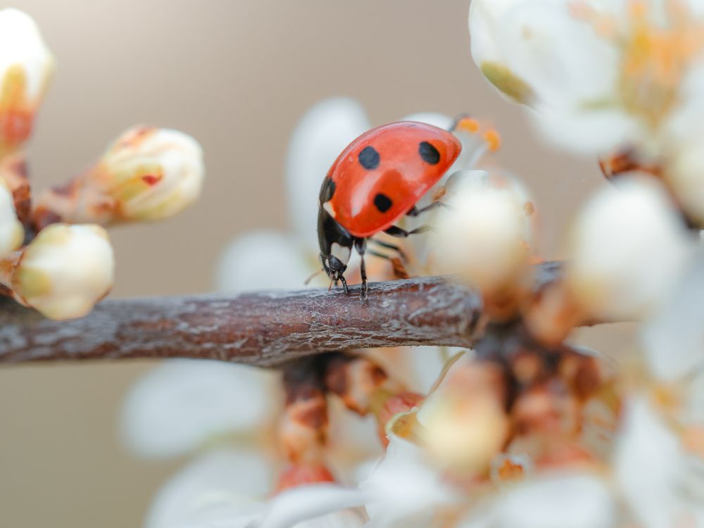 Photograph by Irina Protchenko
