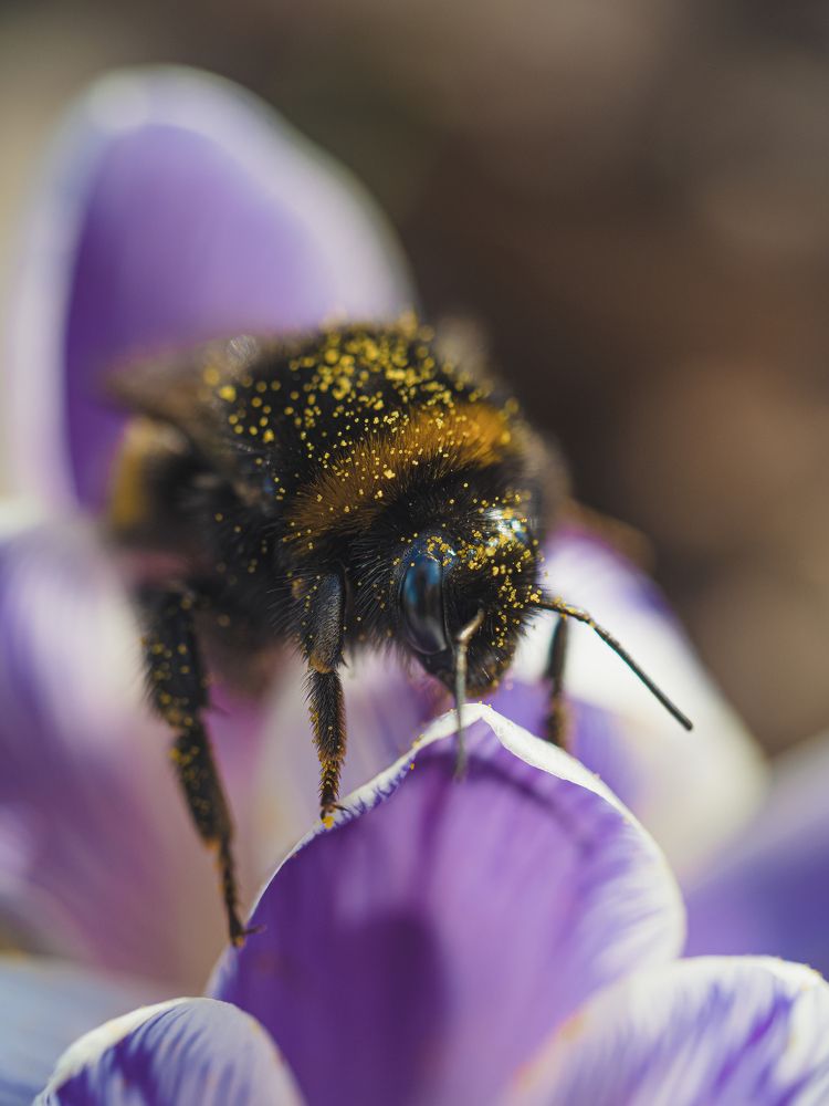 Photograph by Irina Protchenko