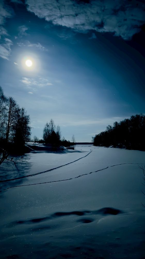 Photograph by 