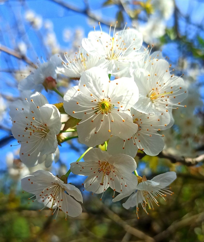 Photograph by Ольга Тихонова