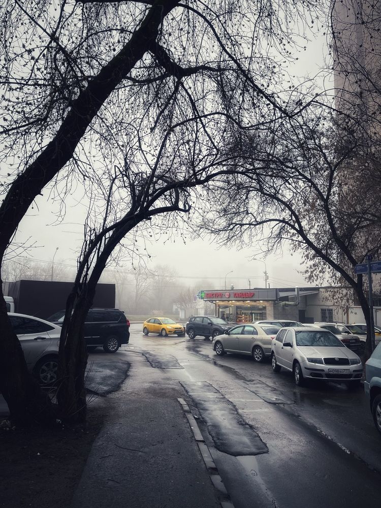 Photograph by Наталья Простова