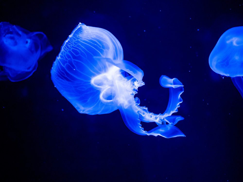 Photograph by Александр Васильев