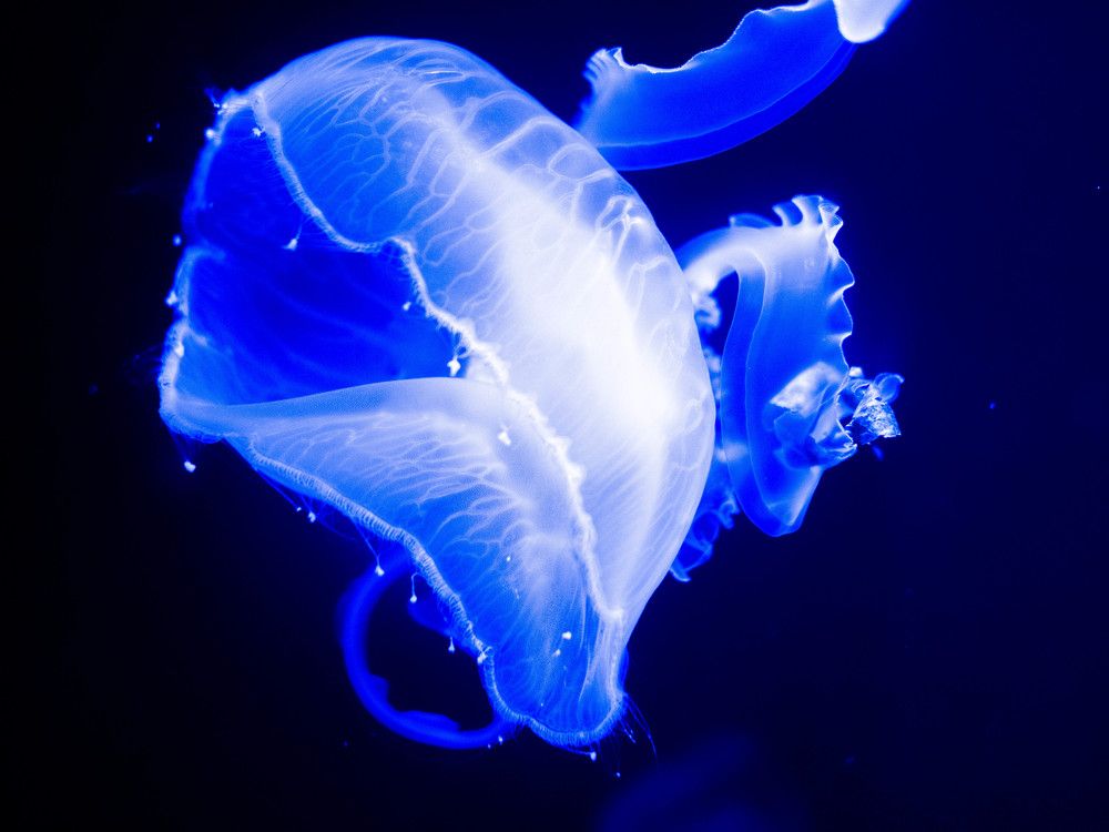 Photograph by Александр Васильев