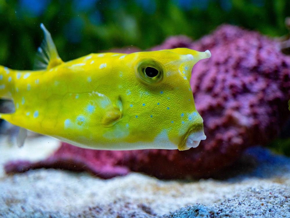 Photograph by Александр Васильев