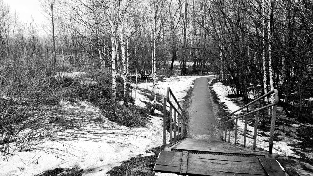 Photograph by Евгения Гриднева