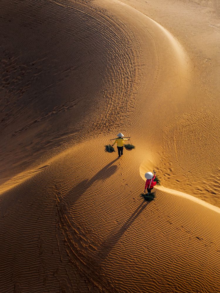 Photograph by Viet Hung Bui