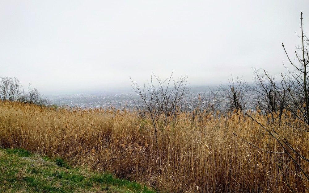 Photograph by Илья Семенчук