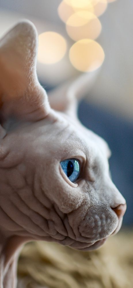 Photograph by Ковалев Артур