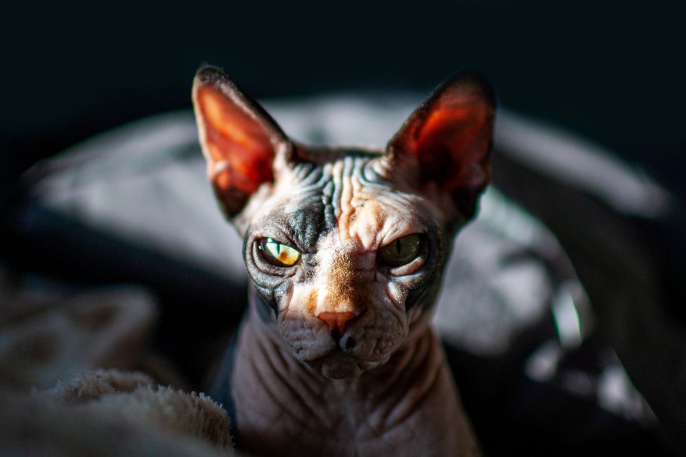 Photograph by Ковалев Артур