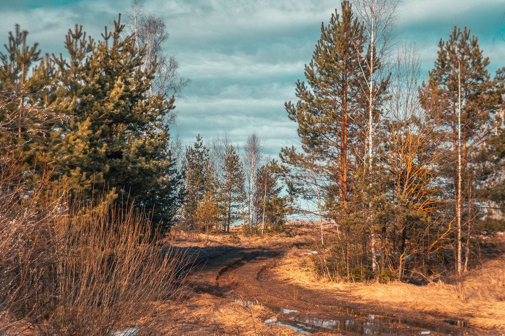 Photograph by Елена Ефимова