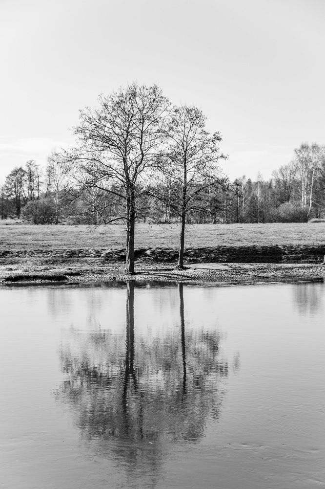 Photograph by Елена Ефимова