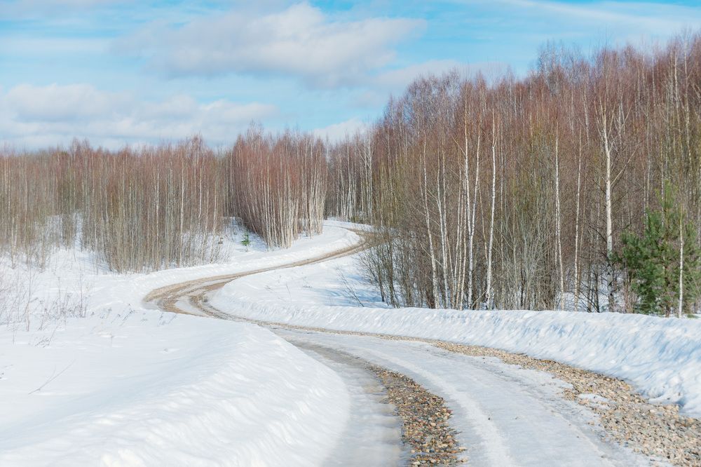 Photograph by Елена Ефимова