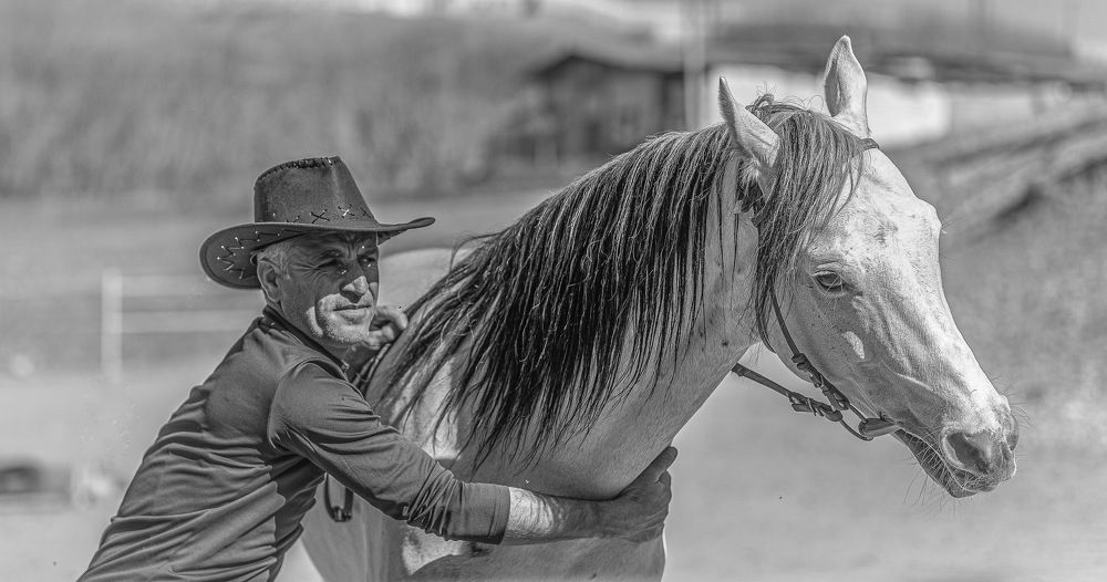 Photograph by فرشاد امیری