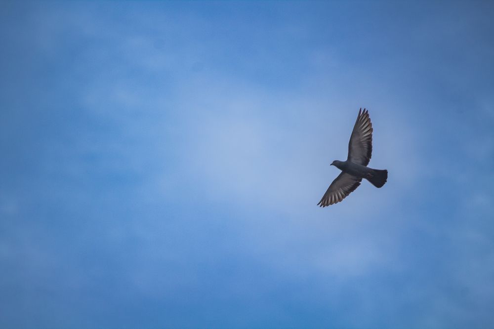 Photograph by Akshey Kumar
