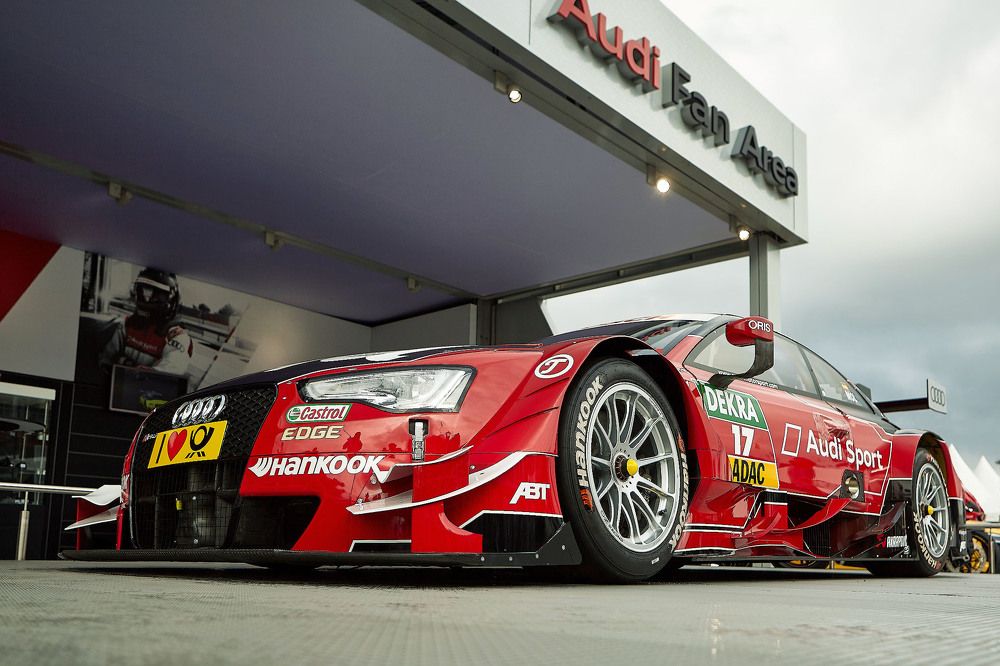 Фотография автора Totoro D