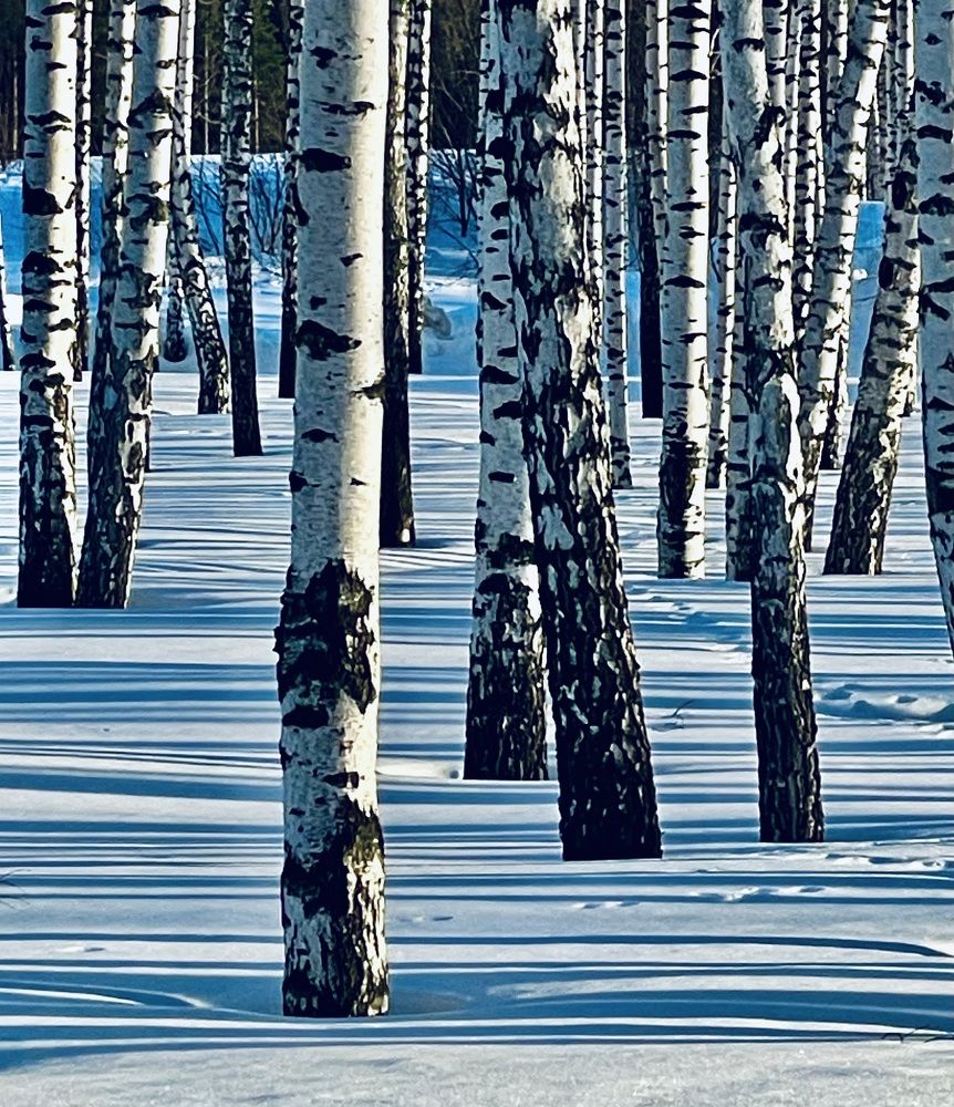 Photograph by Татьяна Мустафина
