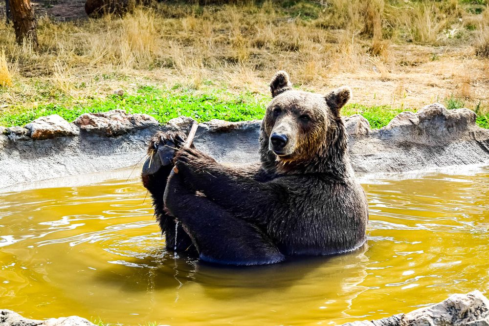 Photograph by Ivars Andrups