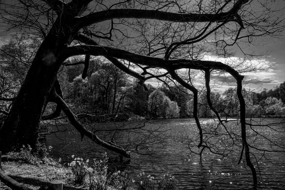 Photograph by Vitalii Kaznin