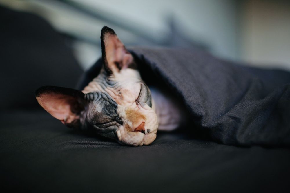 Photograph by Kovalev Artur