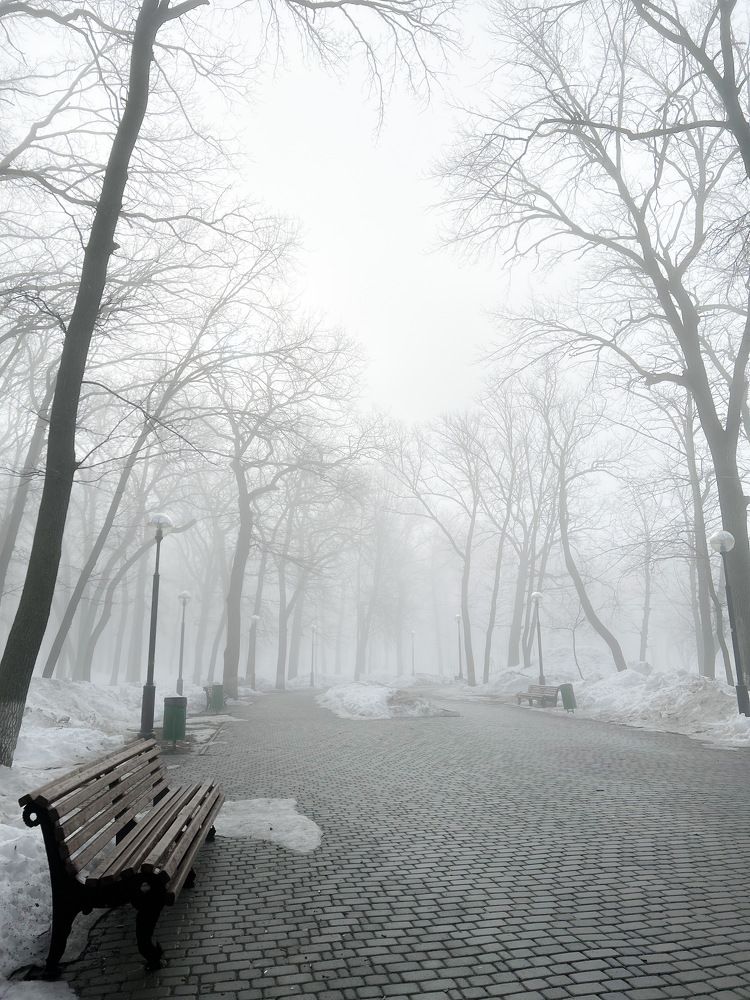 Photograph by Светлана Тютина