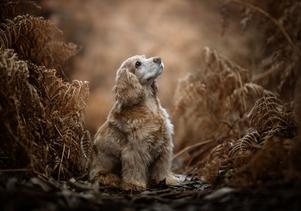 Photograph by Alfonso Maseda Varela