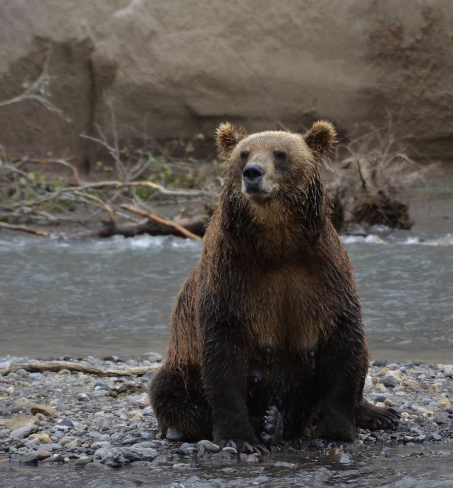 Photograph by Татьяна ТУРСКАЯ
