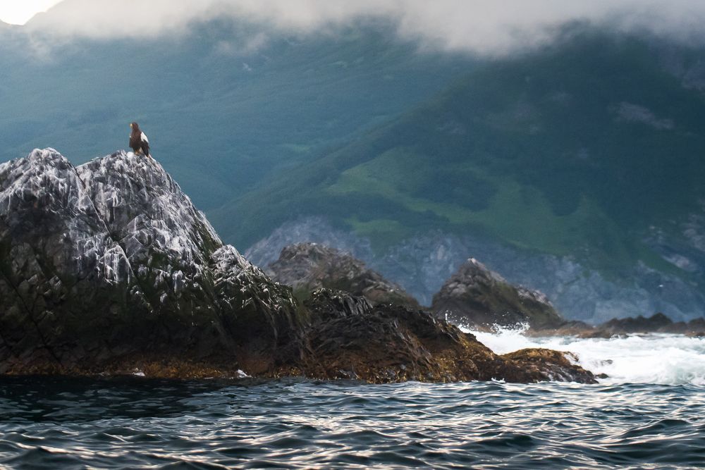 Photograph by Максим Ушаков