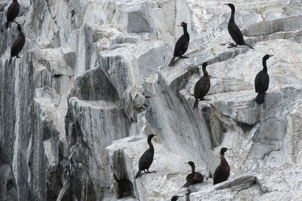 Photograph by Максим Ушаков