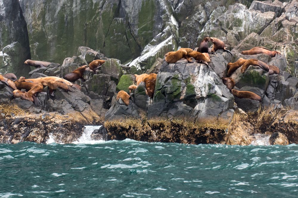 Photograph by Максим Ушаков