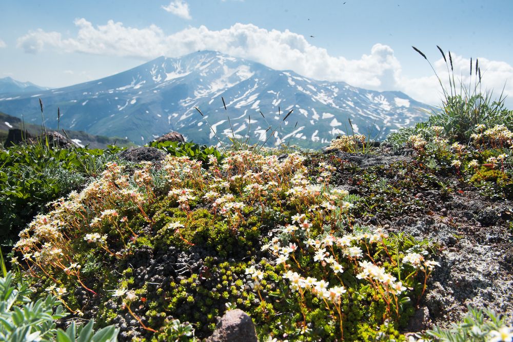 Photograph by Максим Ушаков