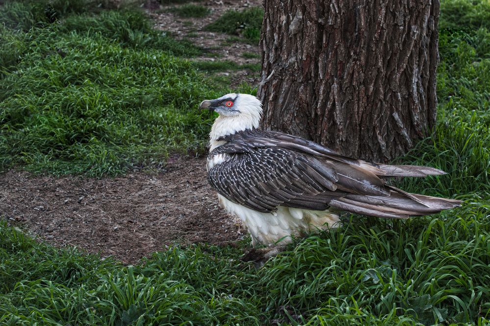 Photograph by Татьяна Михайловна