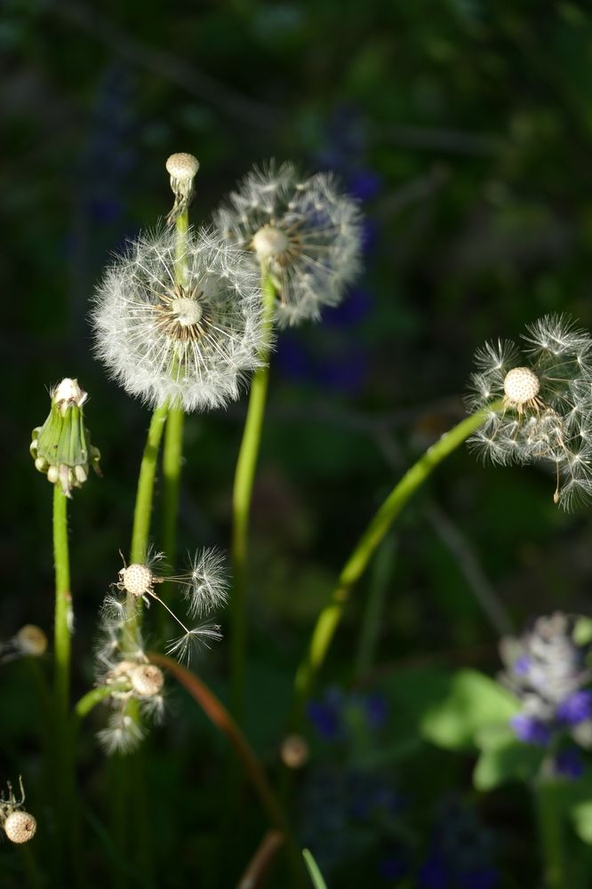 Фотография автора Dubravko Maricic