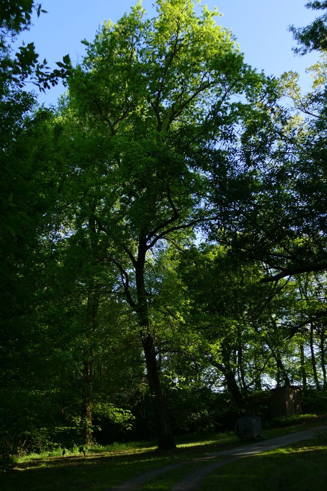 Фотография автора Dubravko Maricic