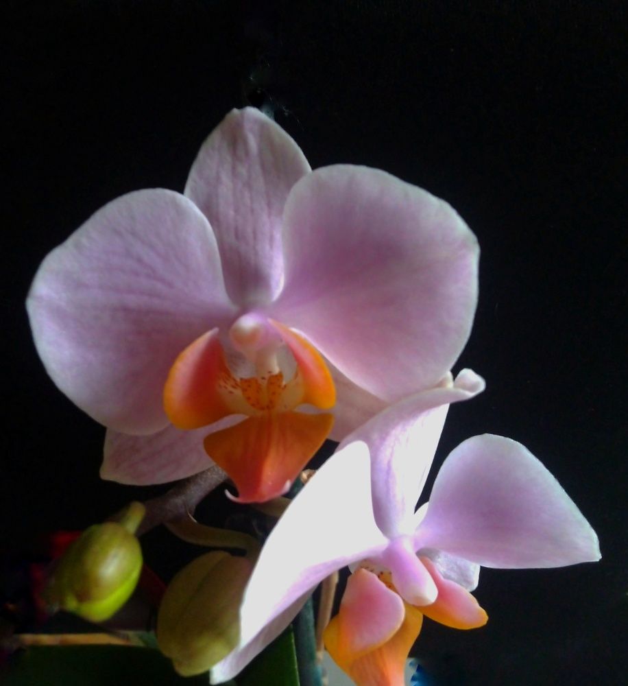 Photograph by Анна Матецкая