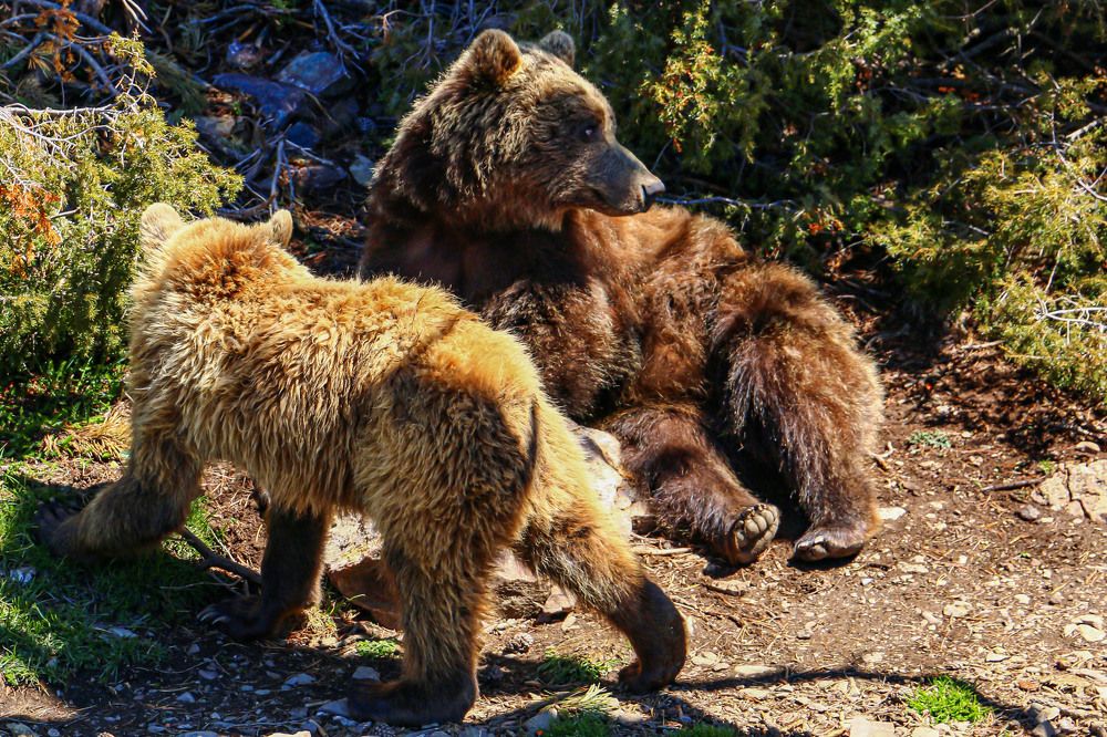 Photograph by Stanislav Strisovsky