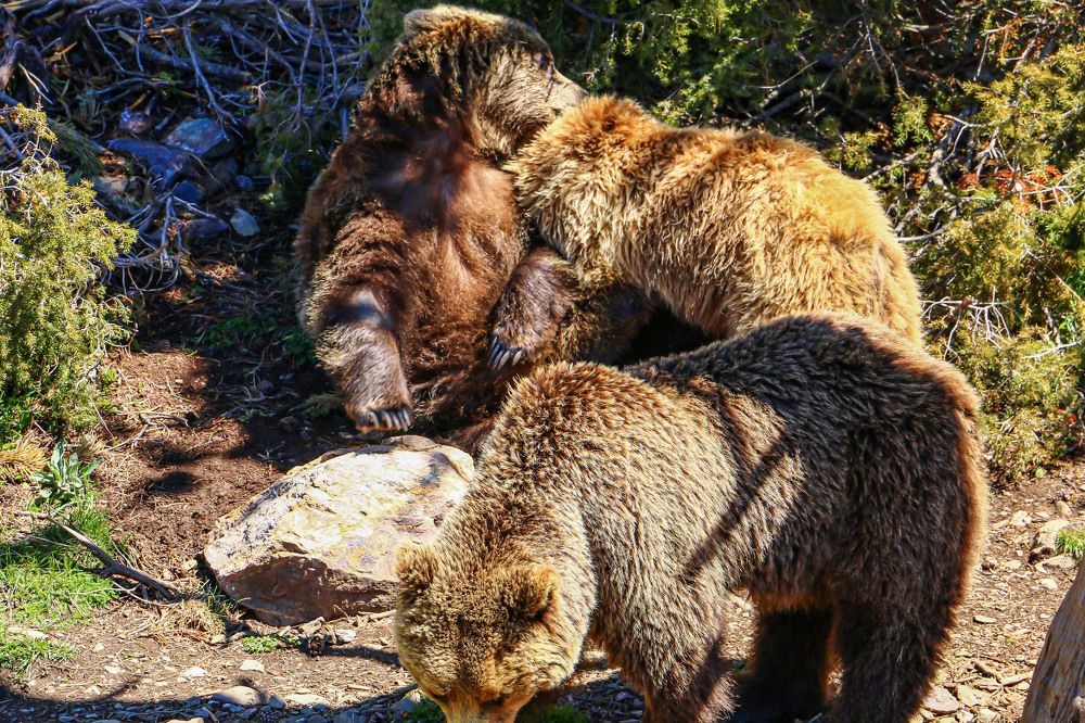 Photograph by Stanislav Strisovsky