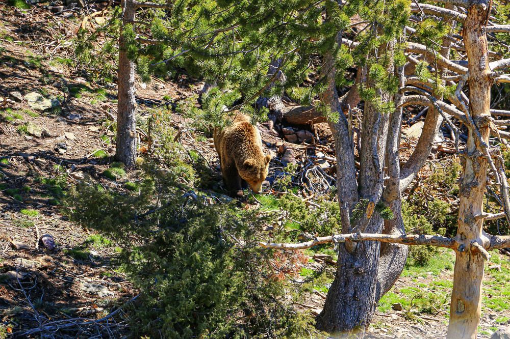 Photograph by Stanislav Strisovsky