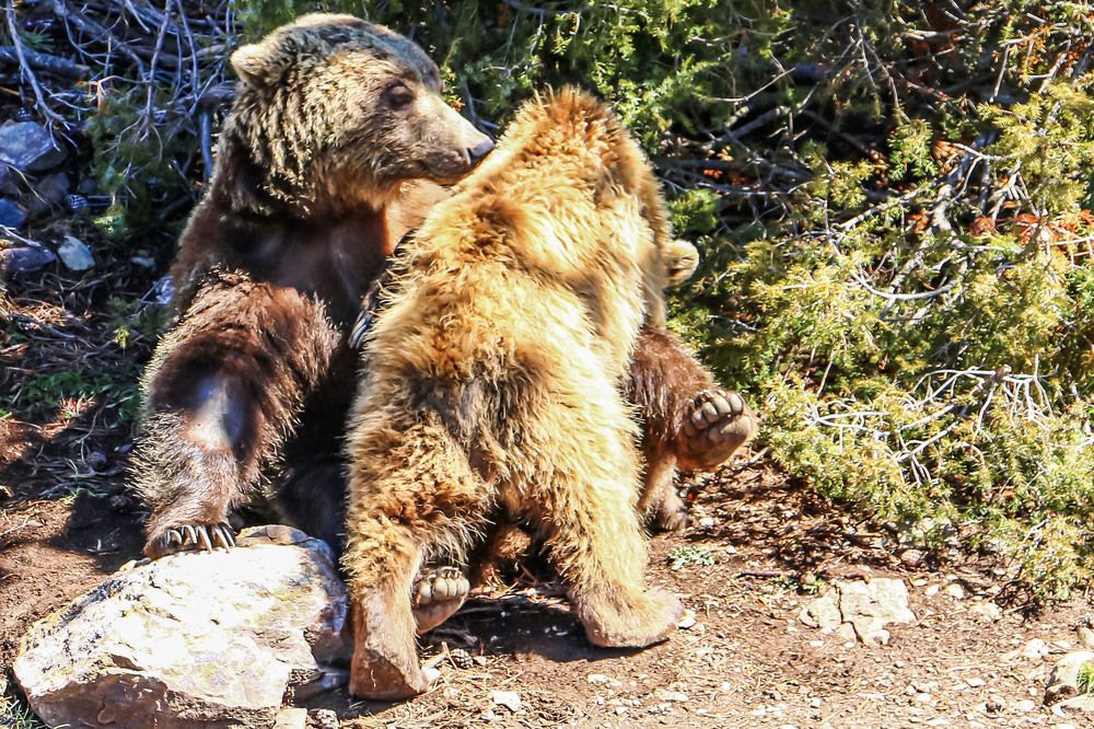 Photograph by Stanislav Strisovsky