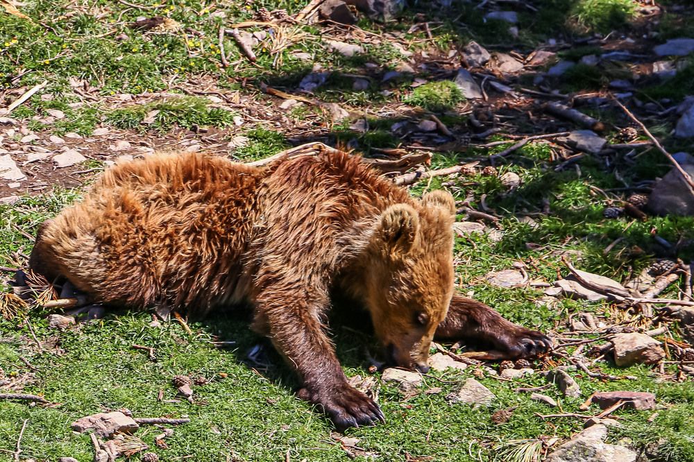 Photograph by Stanislav Strisovsky