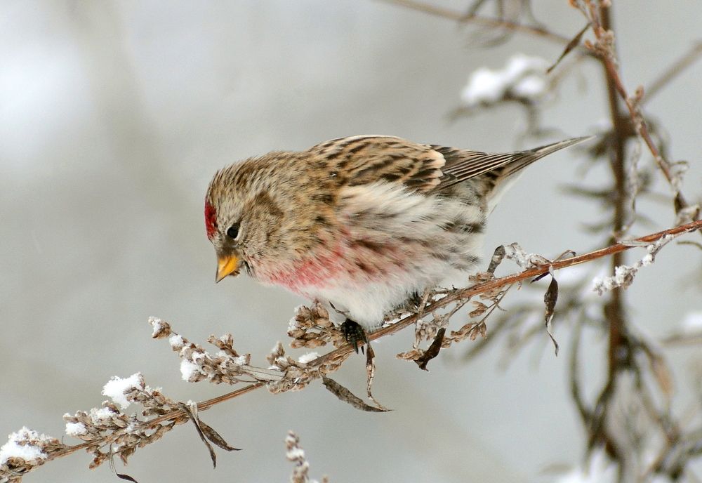 Photograph by Владислав Иопек