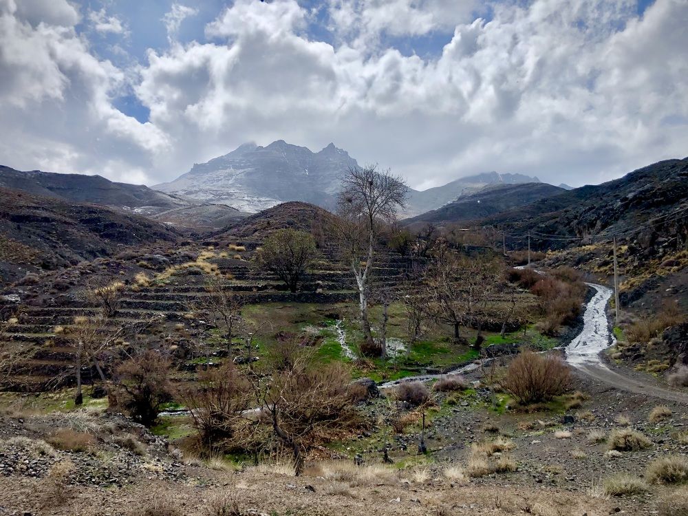 Photograph by Mozhgan Fotouhi