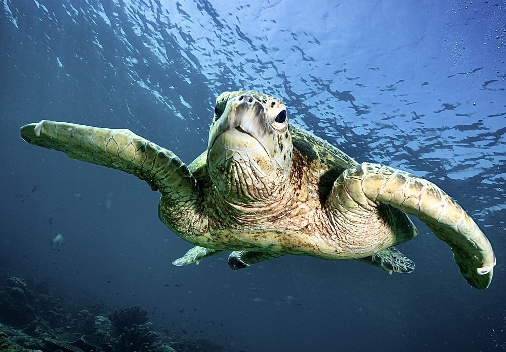 Photograph by Ceci Ver