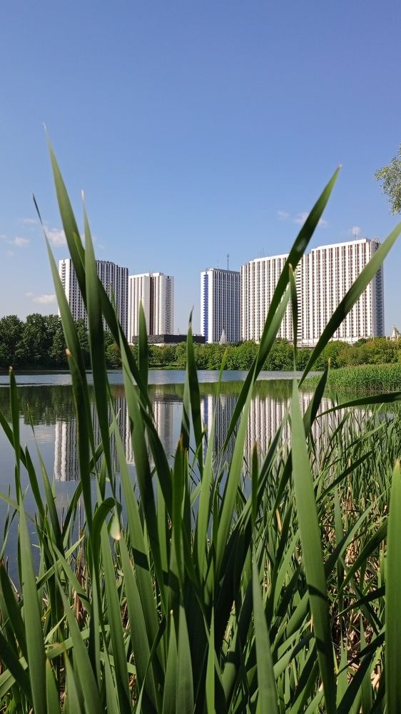 Photograph by Оксана Савушкина