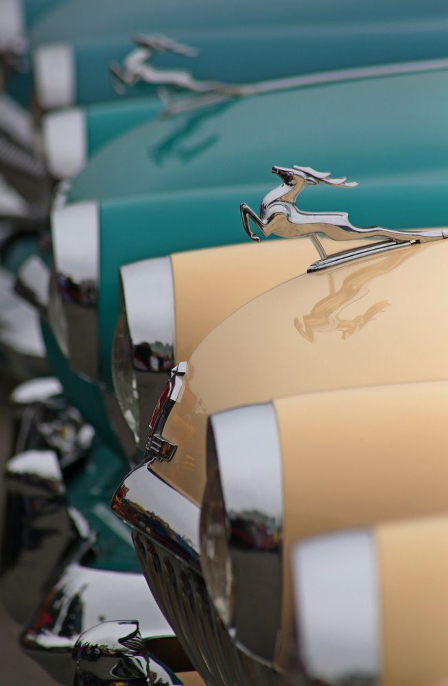 Фотография автора Александр Кожевников