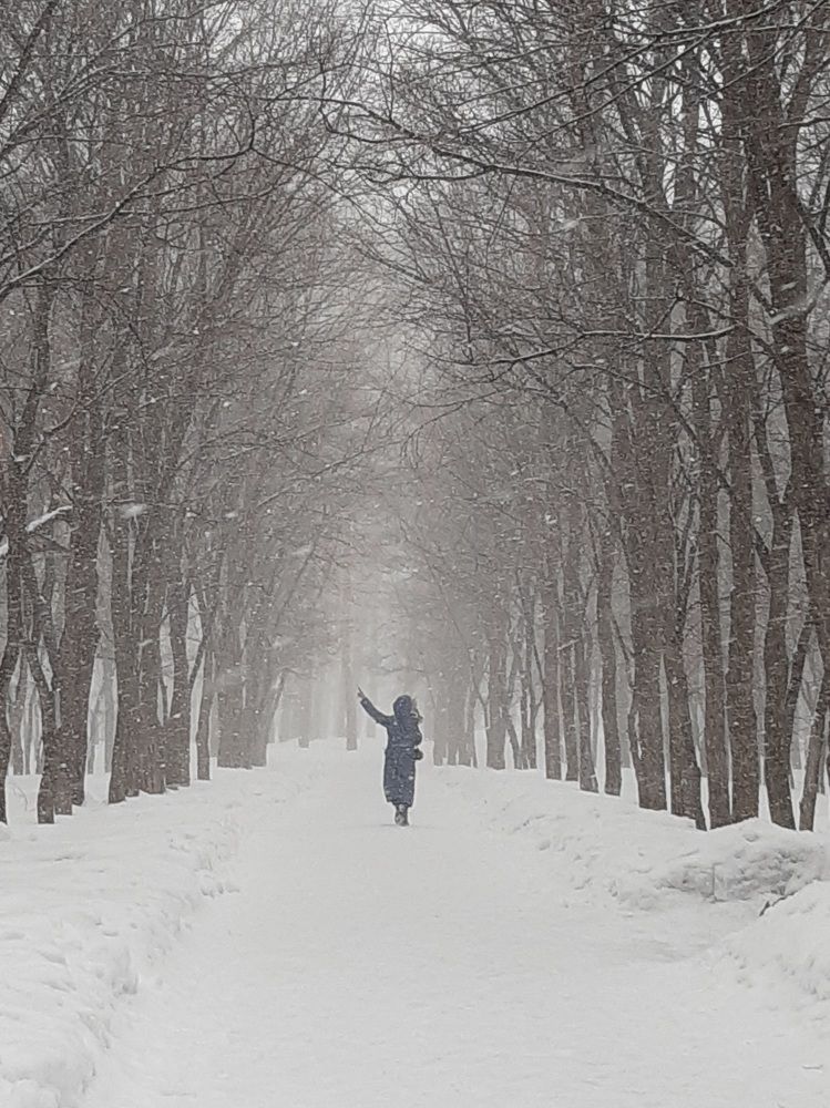 Фотография автора Наталья Шендяпина