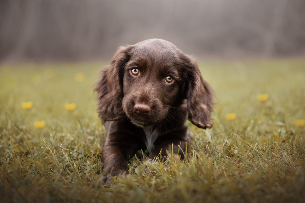 Photograph by leticia pascual garcia