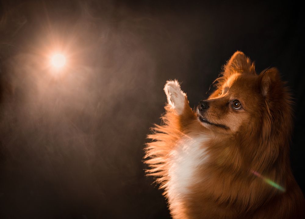 Photograph by Марина Кобелева