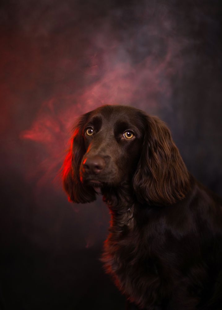 Photograph by Марина Кобелева