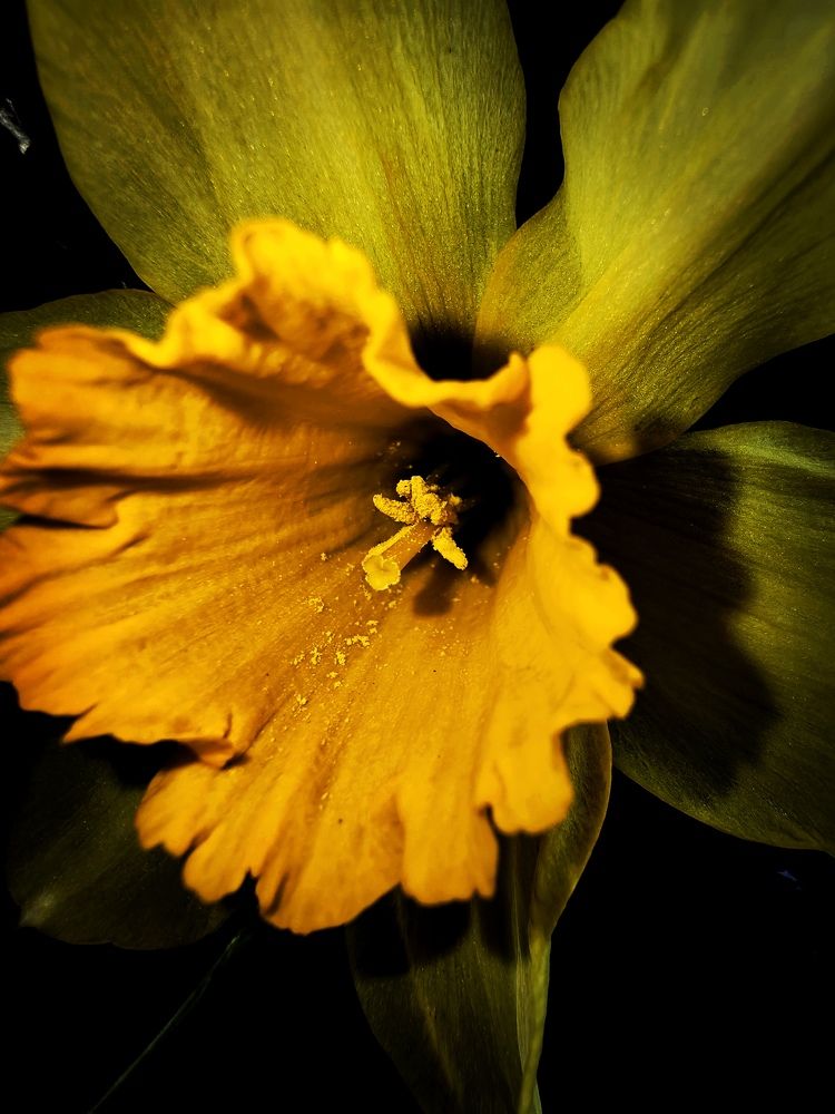 Photograph by Ирина Тихая